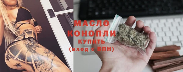 молекула духа Волоколамск
