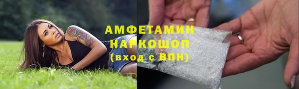 ГАЛЛЮЦИНОГЕННЫЕ ГРИБЫ Волосово