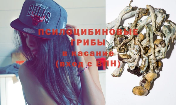 ГАЛЛЮЦИНОГЕННЫЕ ГРИБЫ Усолье-Сибирское